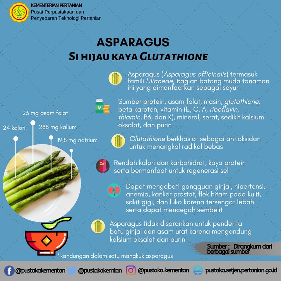 Sayuran tanaman pada bagian dimanfaatkan asparagus yang merupakan 12 Manfaat